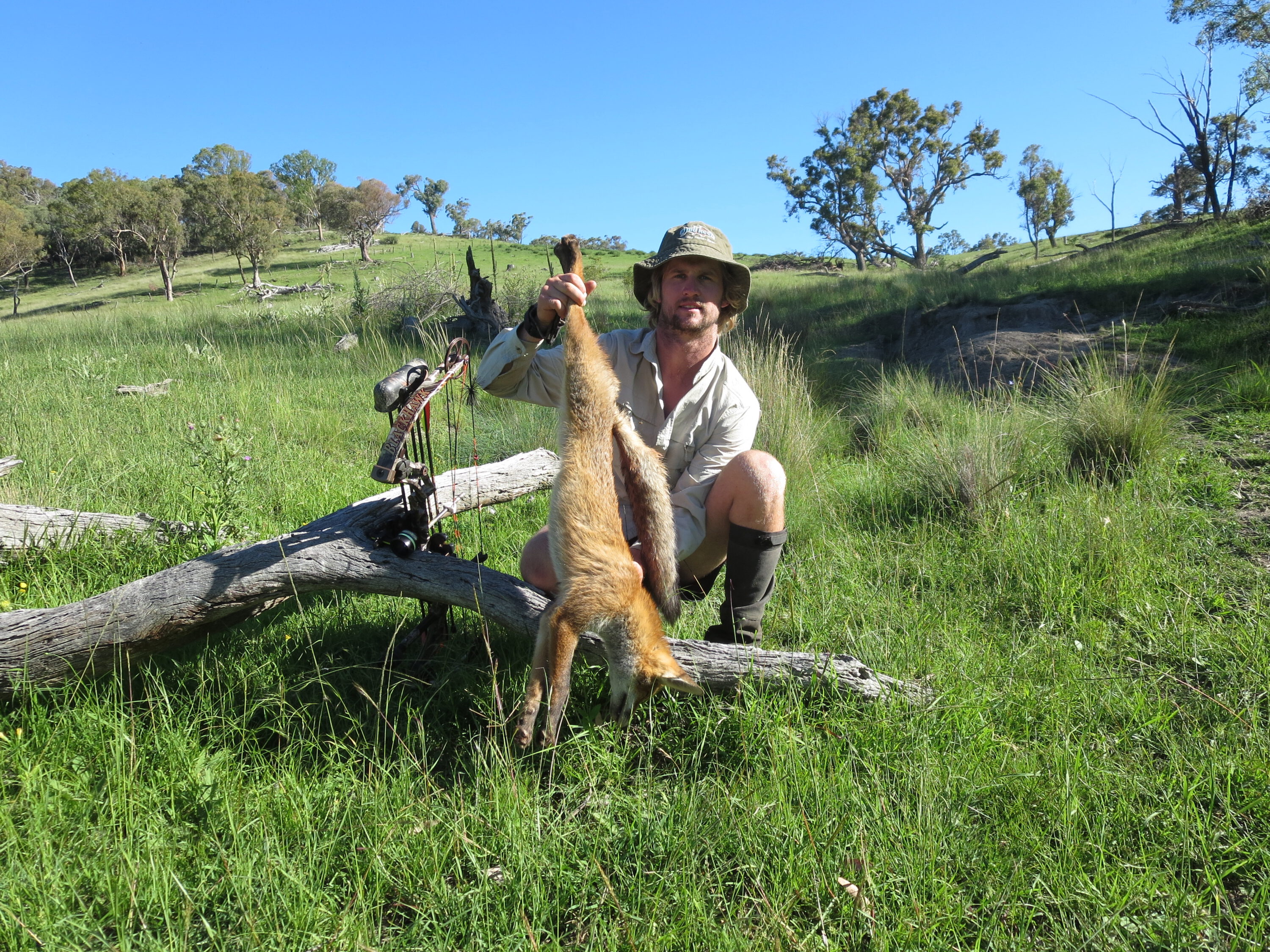 3. Author Rohan has honed his skills to a high level to be able to reliably bow-shoot wary foxes.