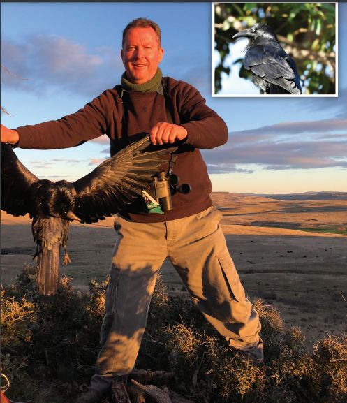 Mike Cleary and his mates get into some serious crow-busting with varmint rifles.