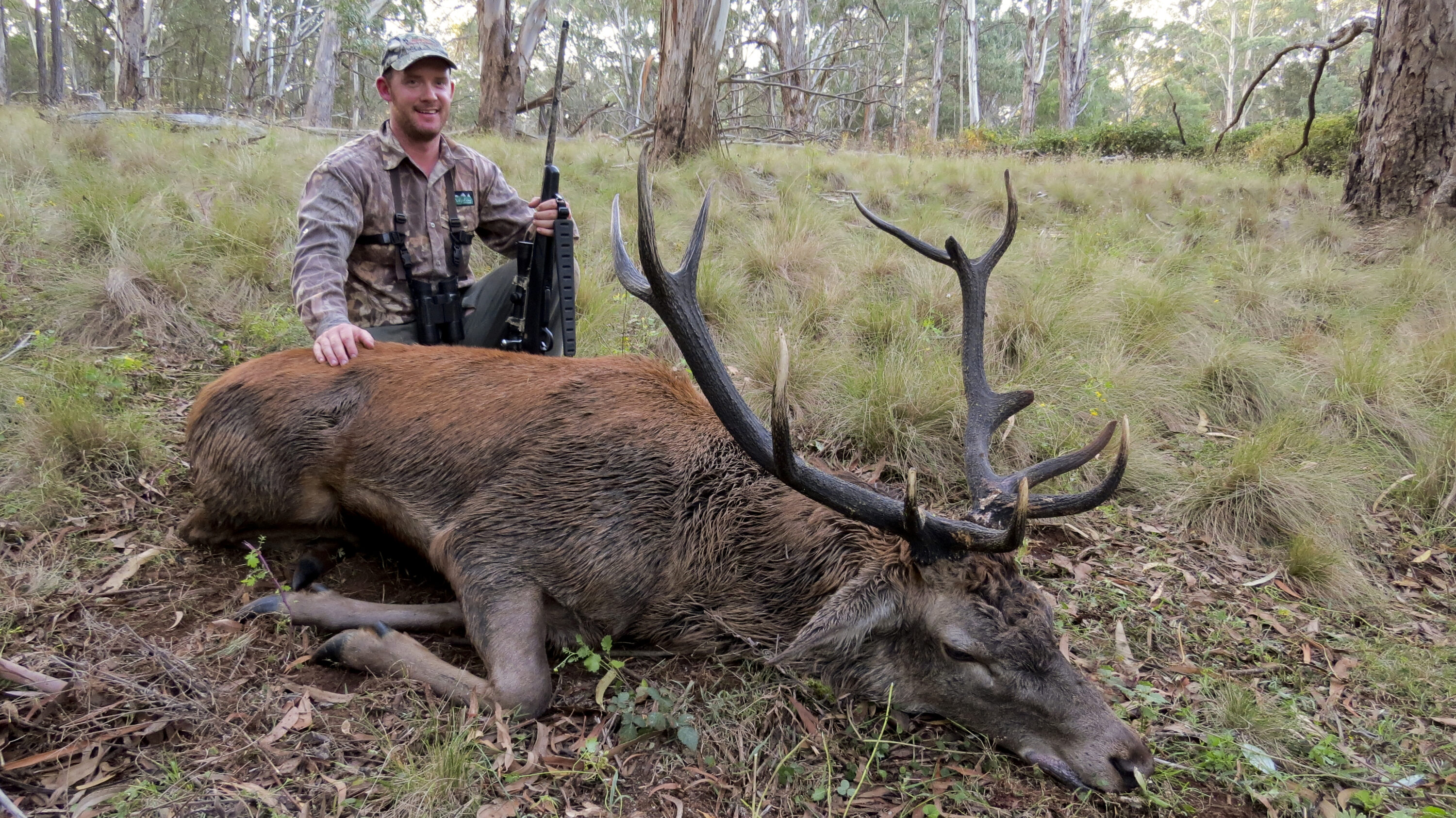 Reid's lovely buck fever red stag.