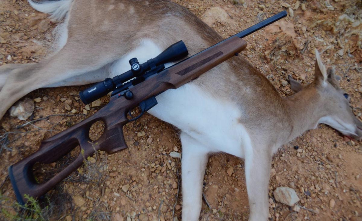 Zero For .17 HMR? - Shooting Times