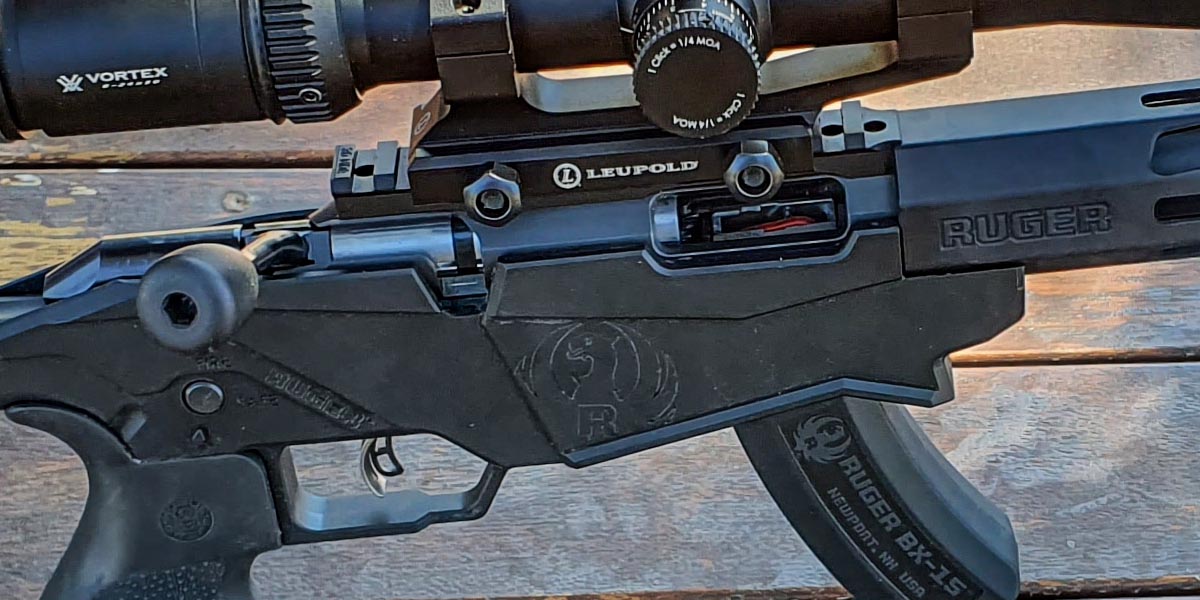 Ruger Precision Rimfire review