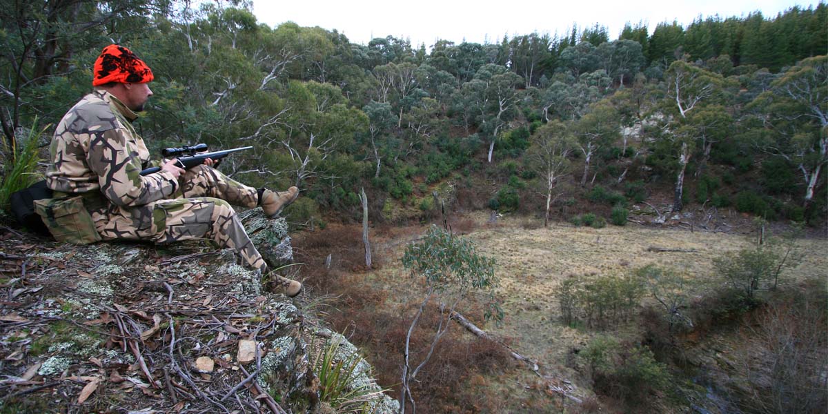 Hunting. Photo by Mick Matheson