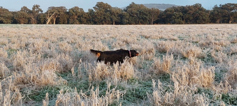 Allan Green - Ridgeline Hunting Photo Competition