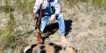Hunting pigs with a .22 magnum rifle