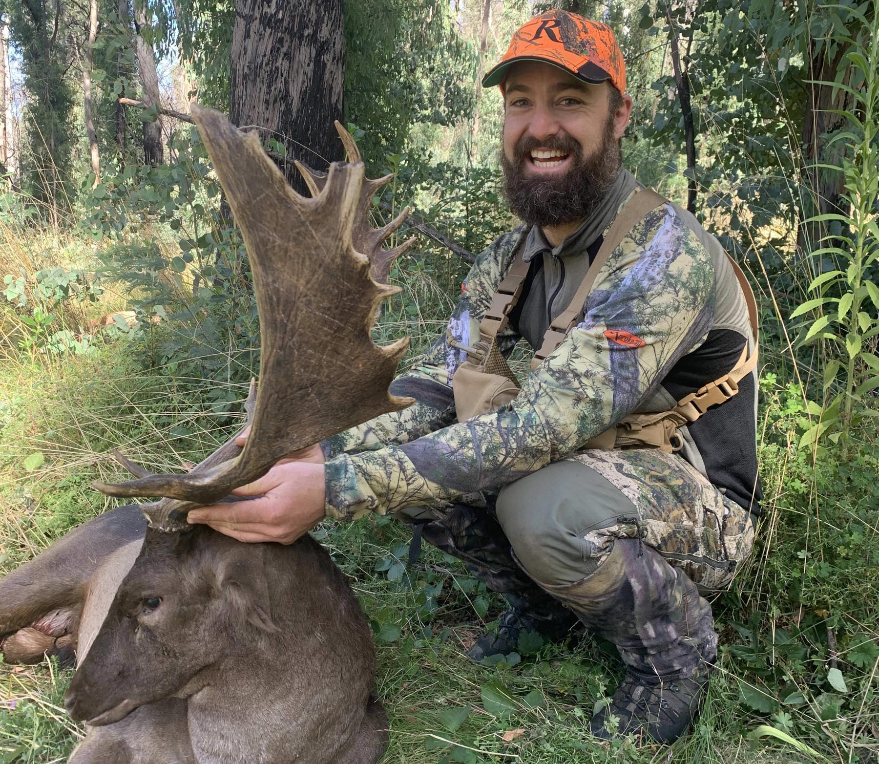 hunting-hard-and-scoring-big-in-the-fallow-deer-rut-sporting-shooter