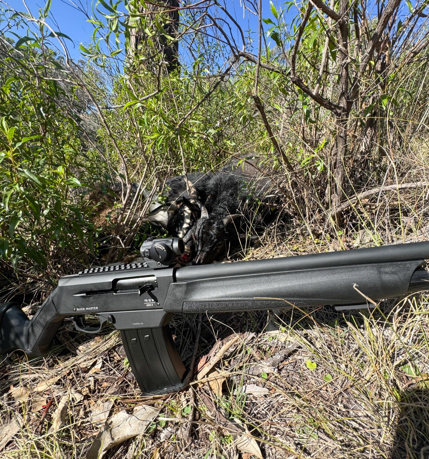 Celik Arms Buck Master M Tactical review