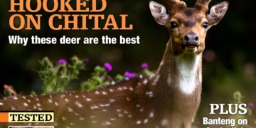 Sporting Shooter magazine
