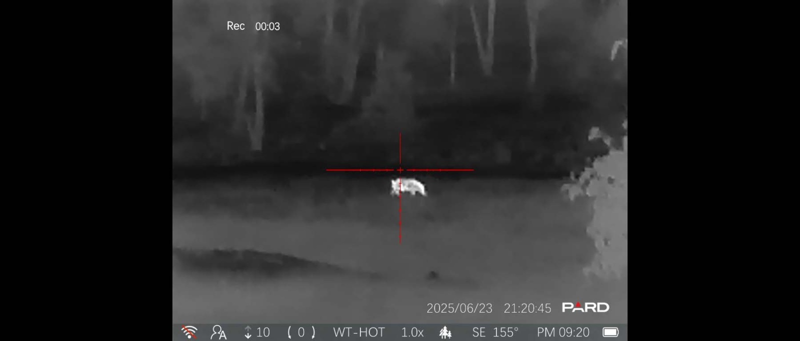 Pard Pantera 256 Q test