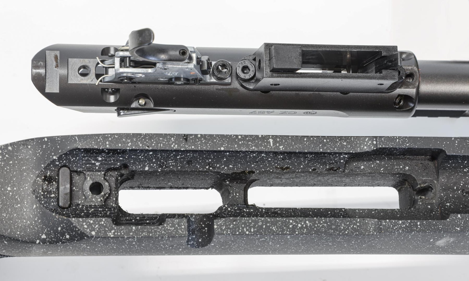 CZ Varmint Long Range Precision rimfire rifle test