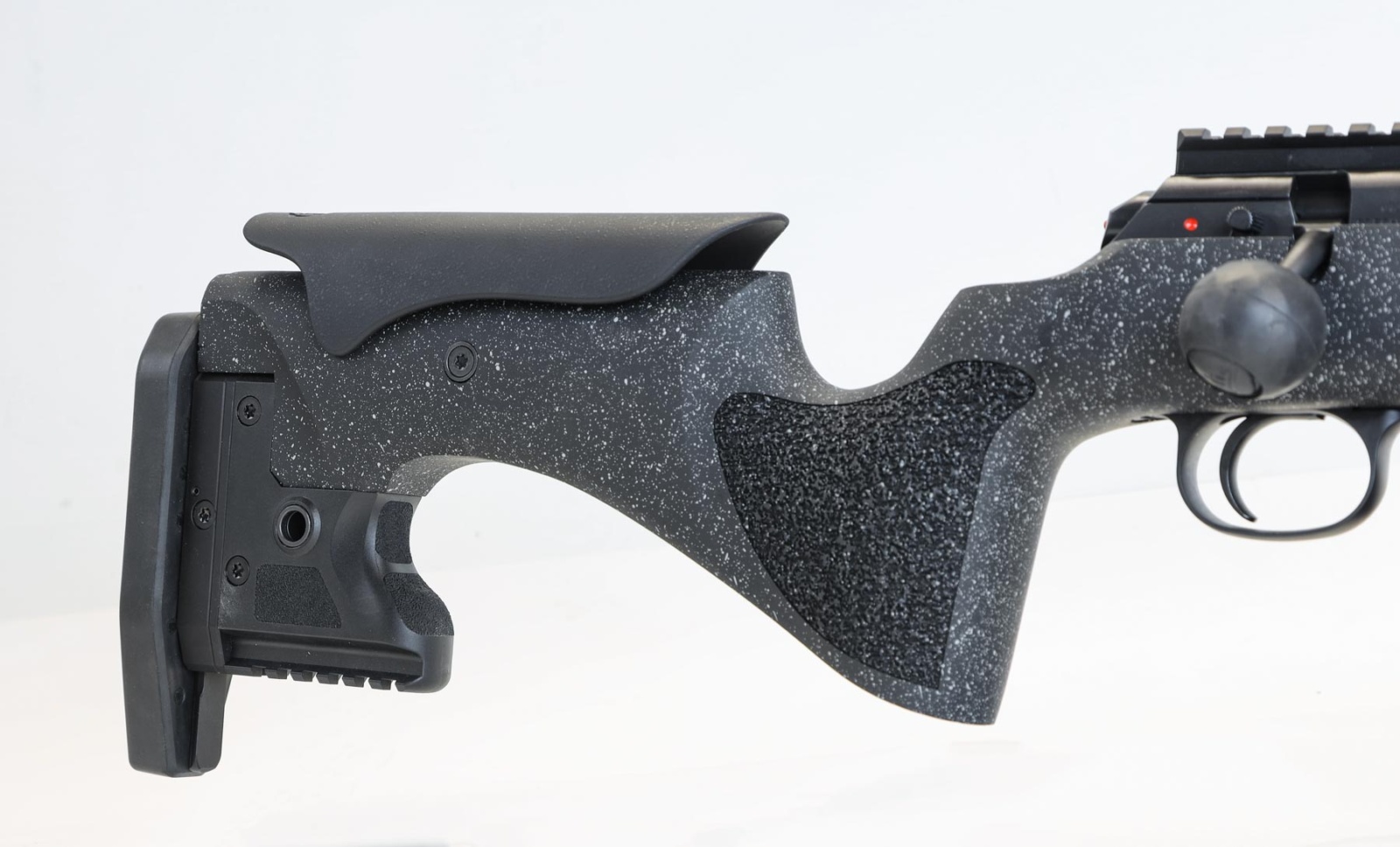 CZ Varmint Long Range Precision rimfire rifle test