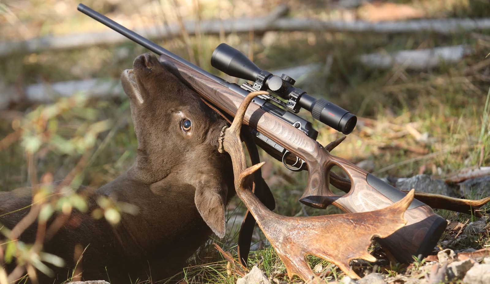 Mauser 25 Max