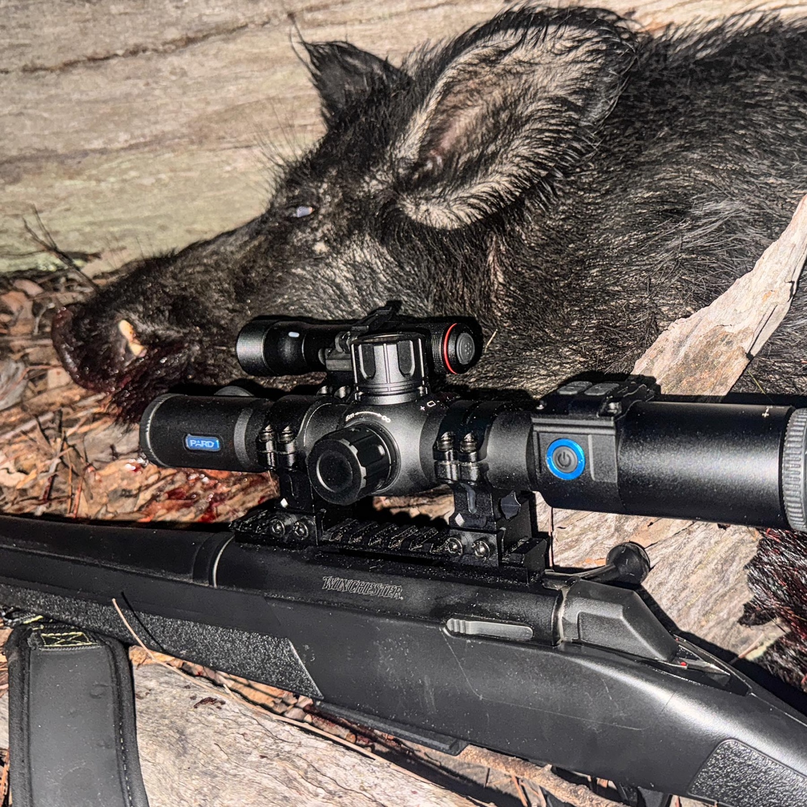 Pard-Night-Stalker-Mini_1800p-3-1600x1600.jpg