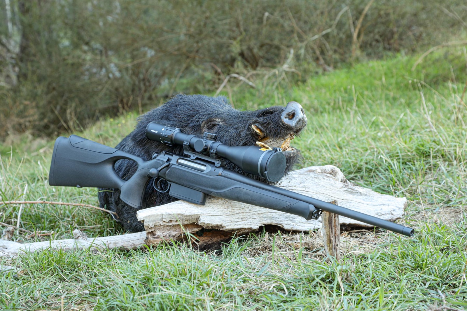 Sauer 505 Synchro XT review