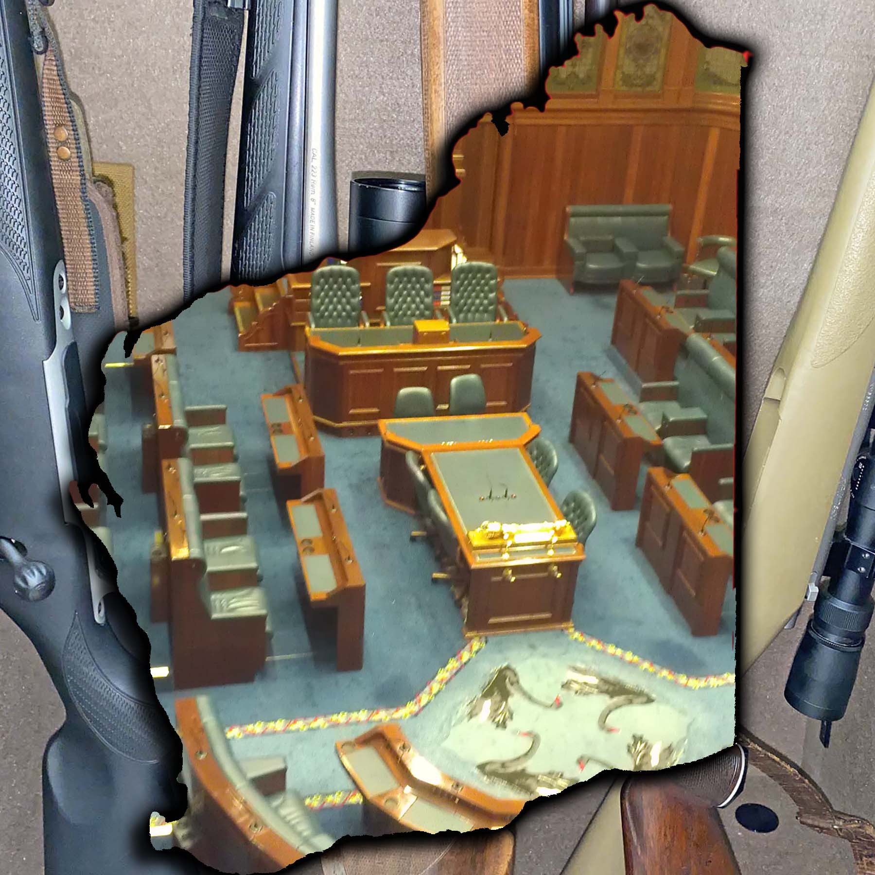 Inquiry into Western Australian gun laws