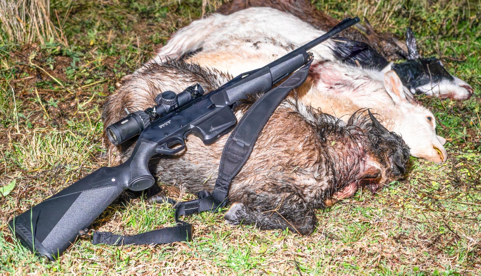 Winchester SXR2 pump-action rifle review