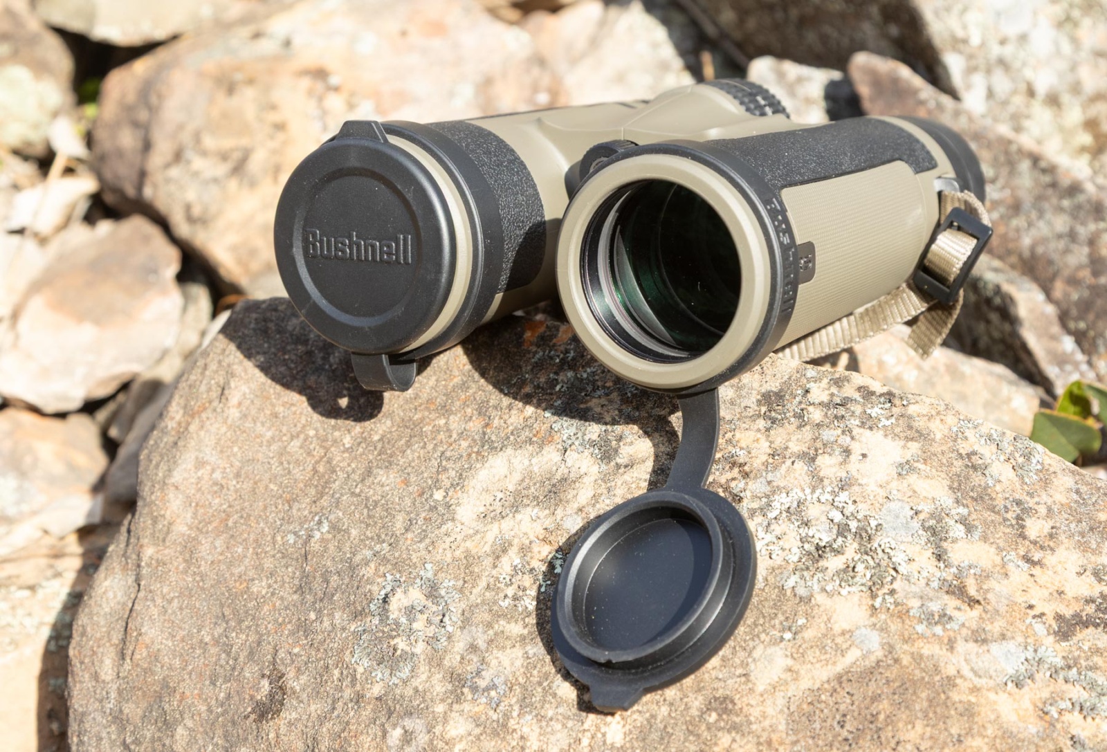 Bushnell R5 10x42 binoculars