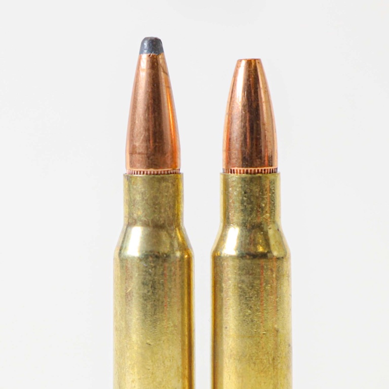 What’s best? .375 Ruger versus .375 H&H - Sporting Shooter