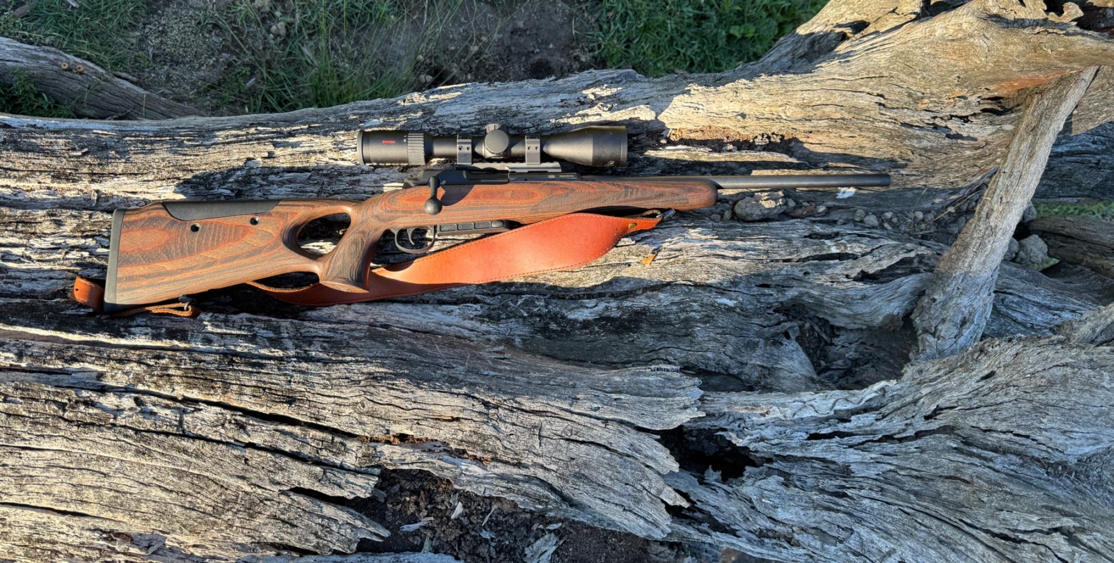 Mauser 25 Max test