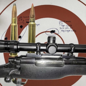 .303 Epps Improved