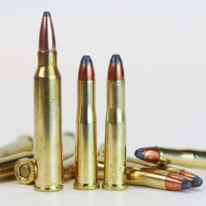 .22 Hornet