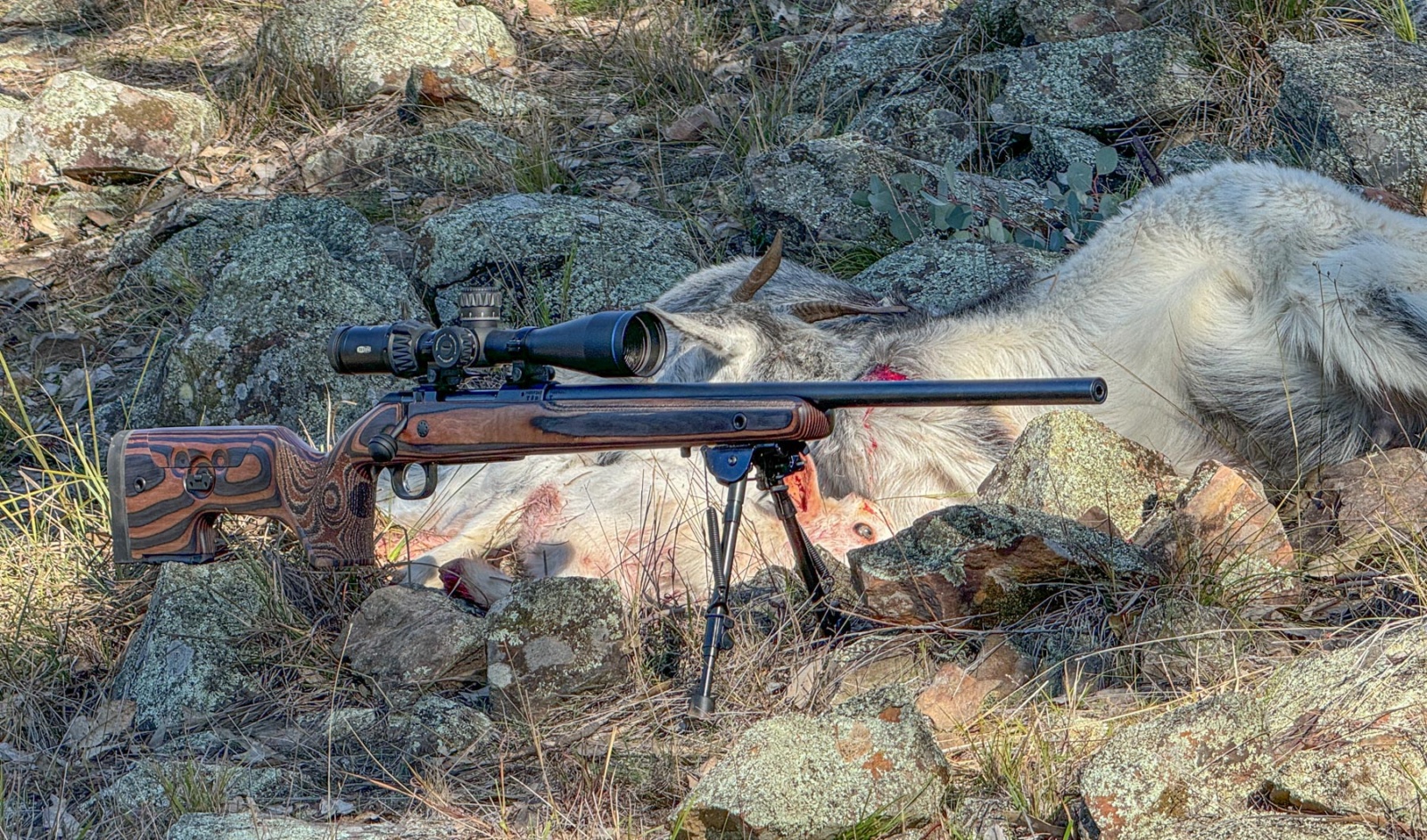 CZ 600 Range rifle
