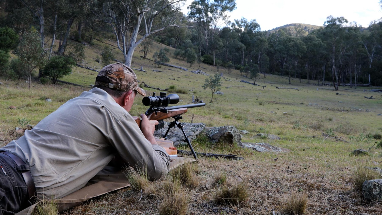 GPO Centuri rifles scopes