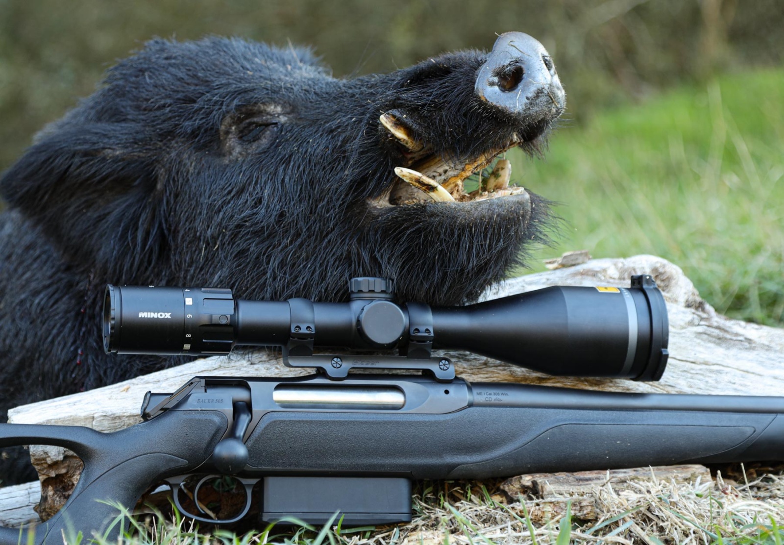 Minox Allrounder 3-15x56 review