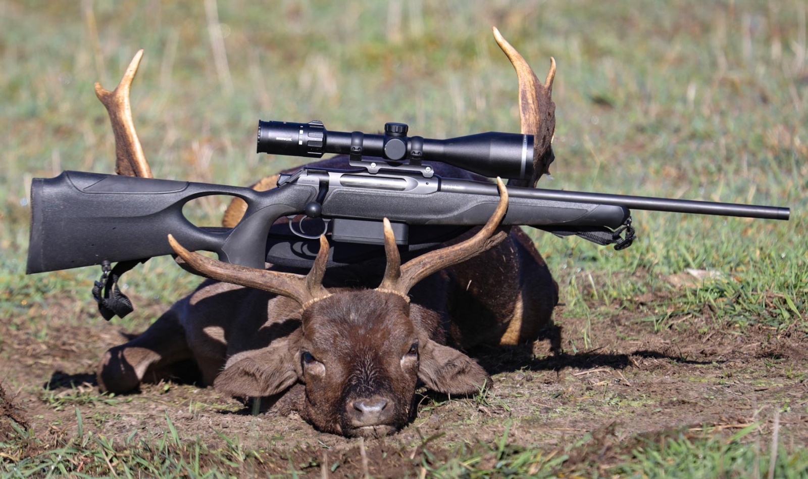 Minox Allrounder 3-15x56 review