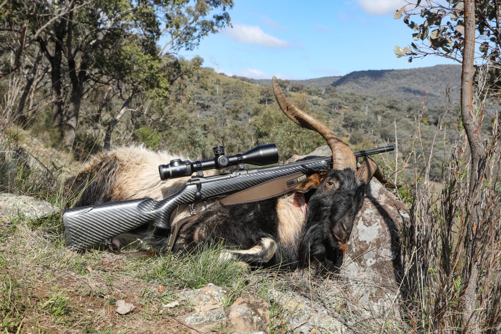 Sauer 101 Highland XTC review