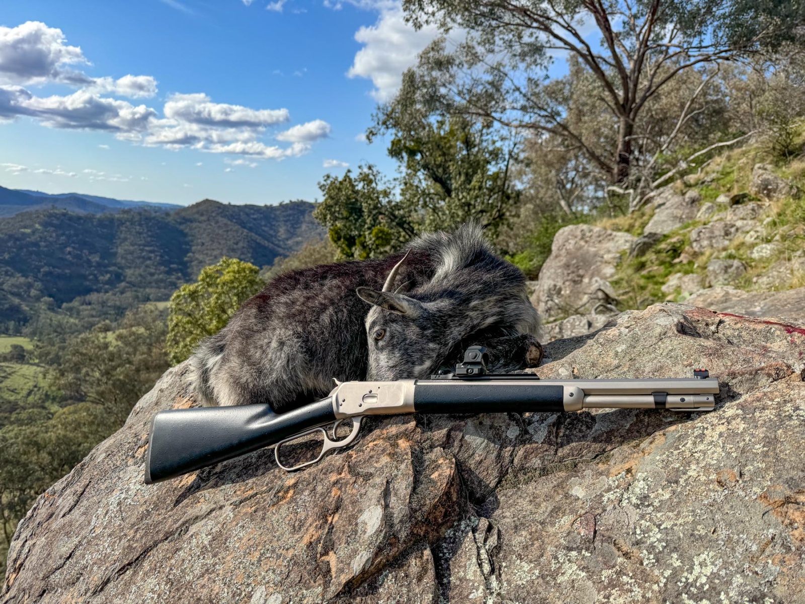 Chiappa 1892 Alaska Takedown review