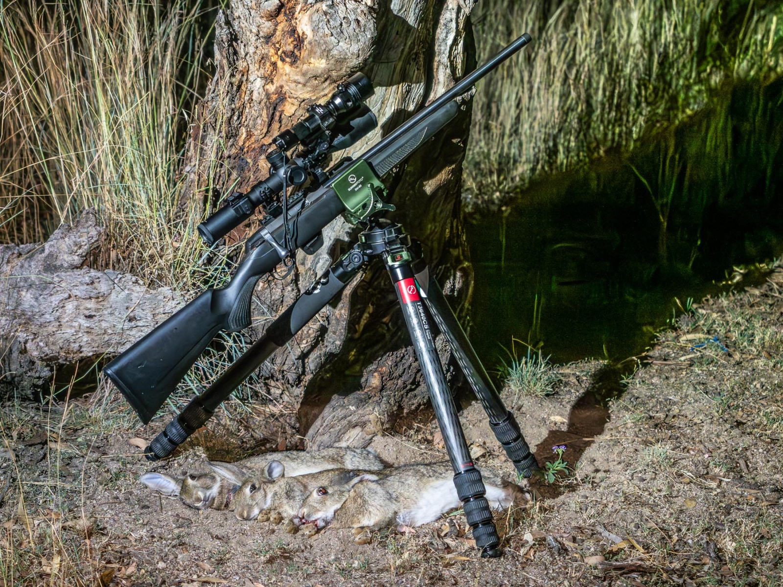 Z-Vision hunting lights review