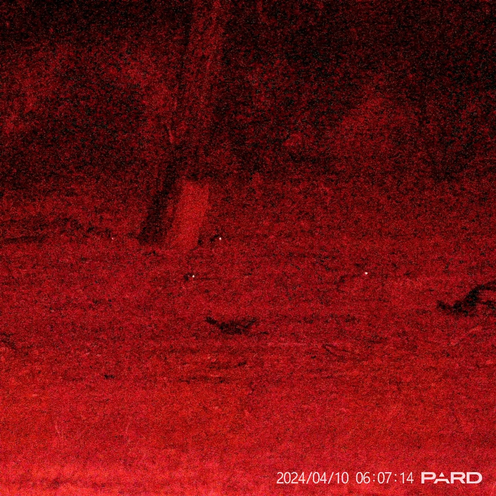 Z-Vision hunting lights review