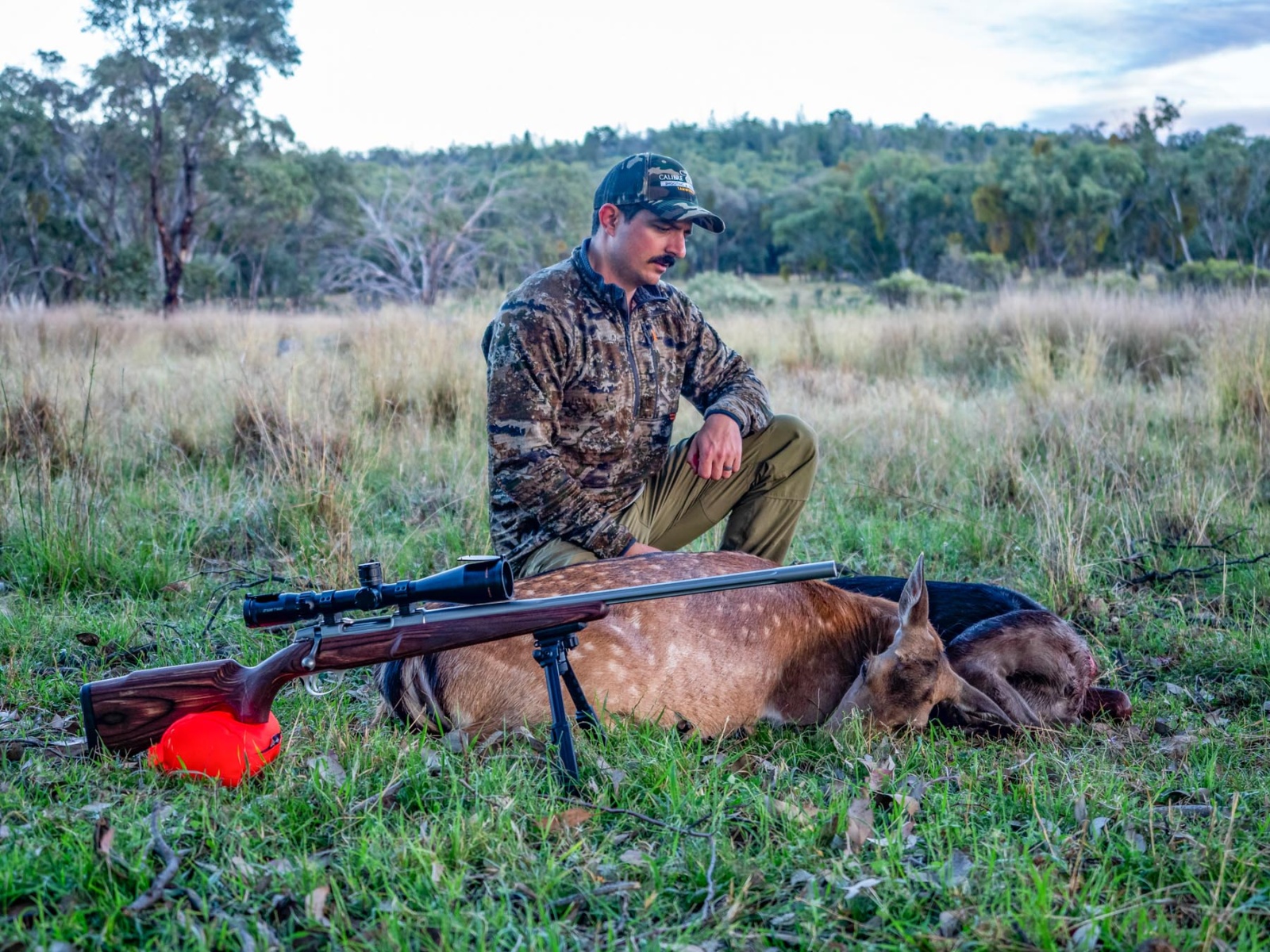 Sako 90 Varmint review