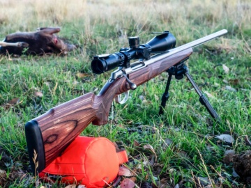 Sako 90 Varmint review
