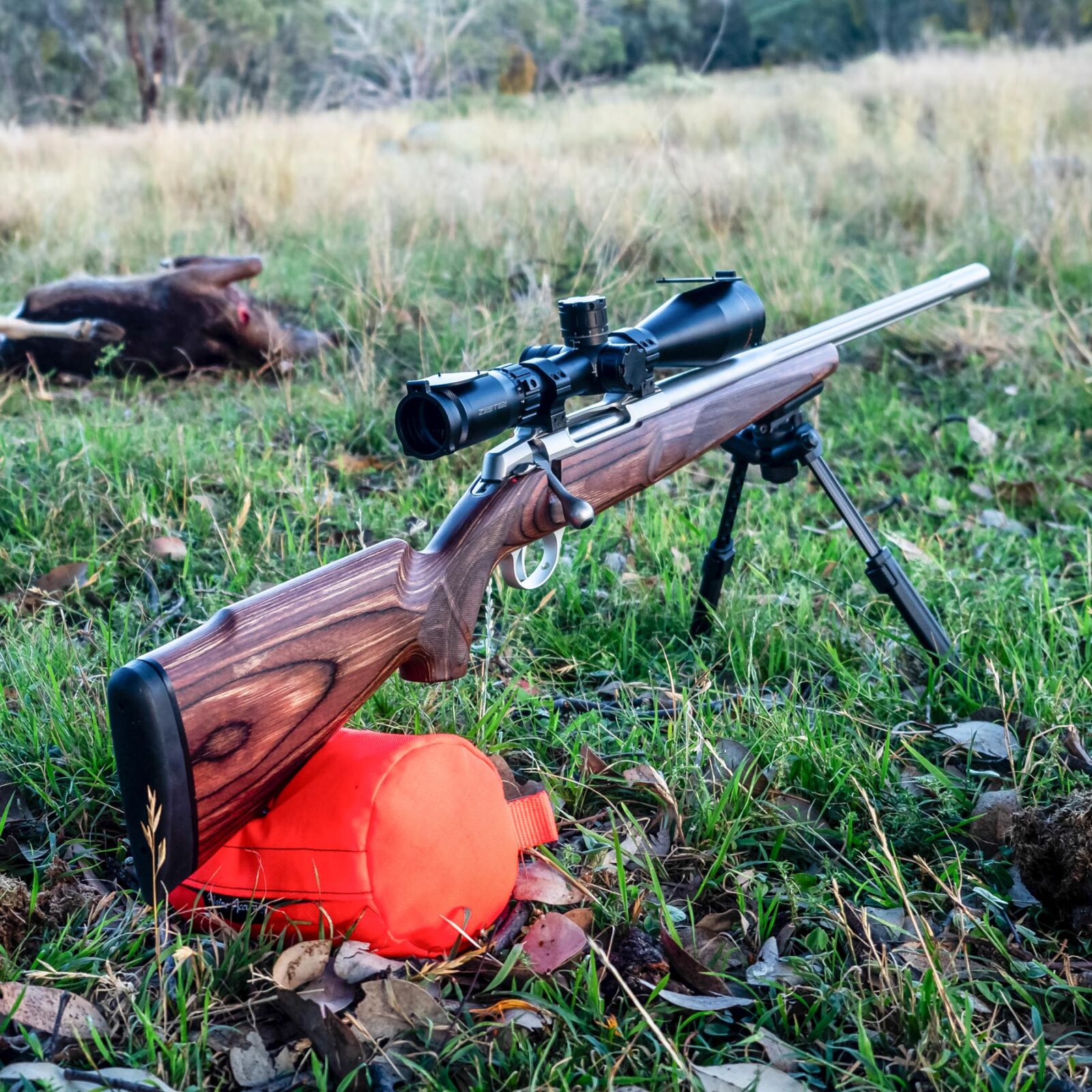 Review: Sako 90 Varmint rifle - Sporting Shooter