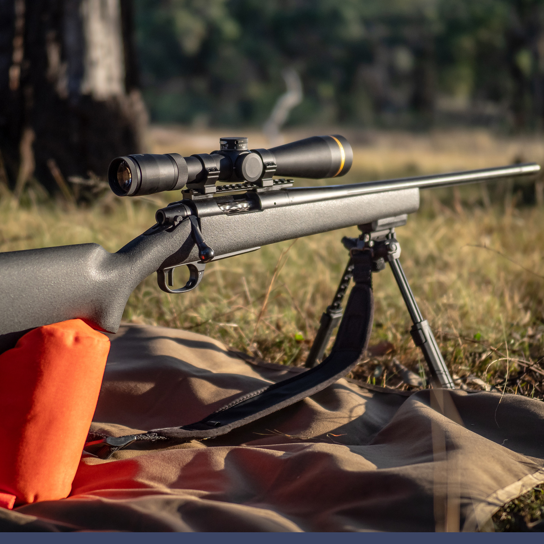 The Alpha 1 is a modern take on a sporting rifle that can be pressed into target work if you desire