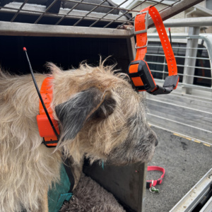 The Garmin Alpha XL offers on- and off-road vehicle navigation, dog training capability and dog tracking