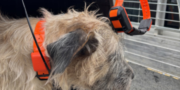The Garmin Alpha XL offers on- and off-road vehicle navigation, dog training capability and dog tracking