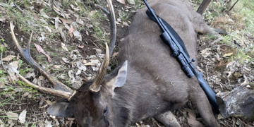 A 165gn Federal Trophy Bonded Tip pushed at a decent pace ensures the .308 is an excellent sambar killer