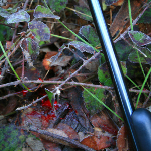 Tracking an animal is part of any hunt