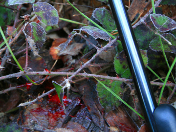 Tracking an animal is part of any hunt