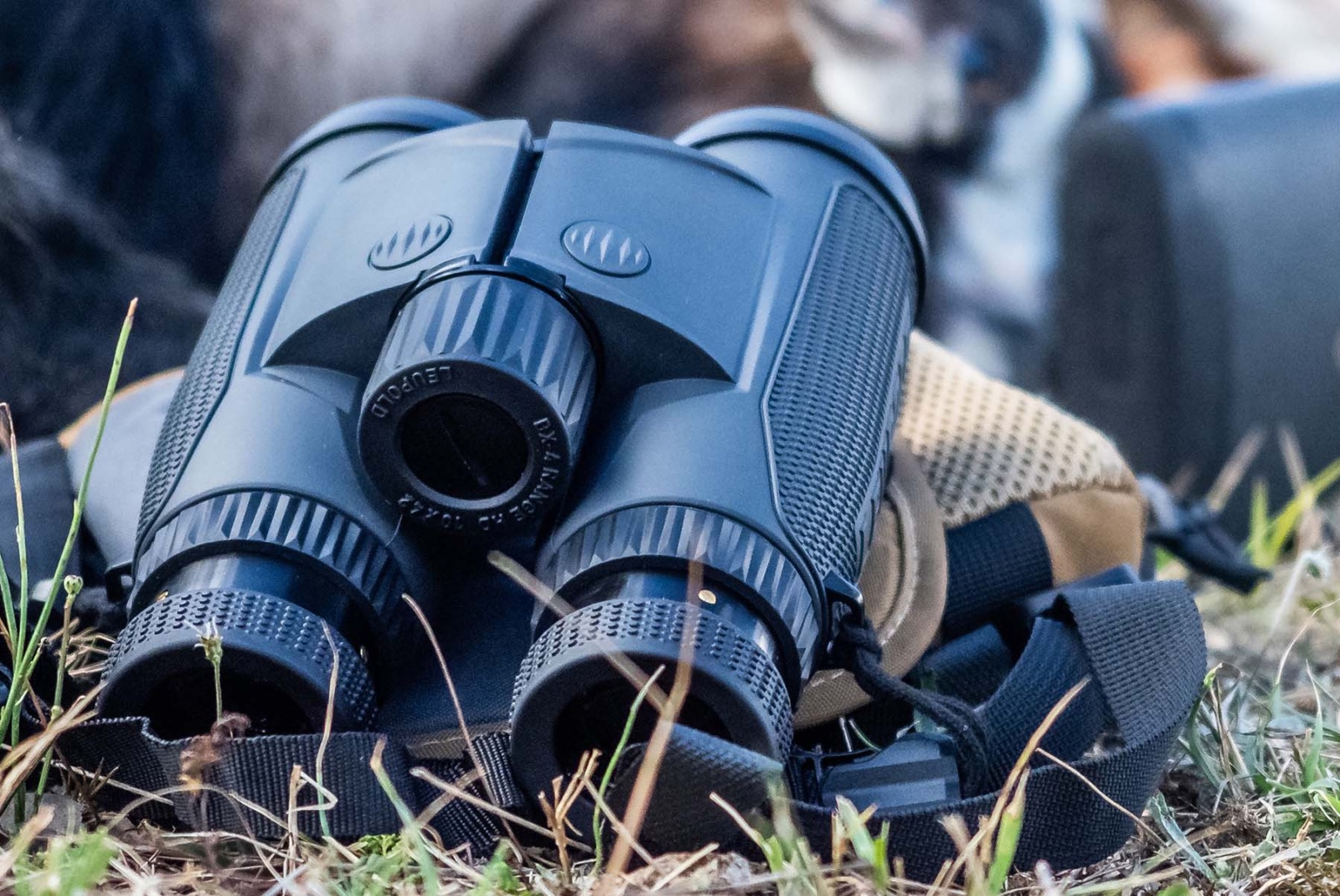 Leupold BX-4 Range binoculars