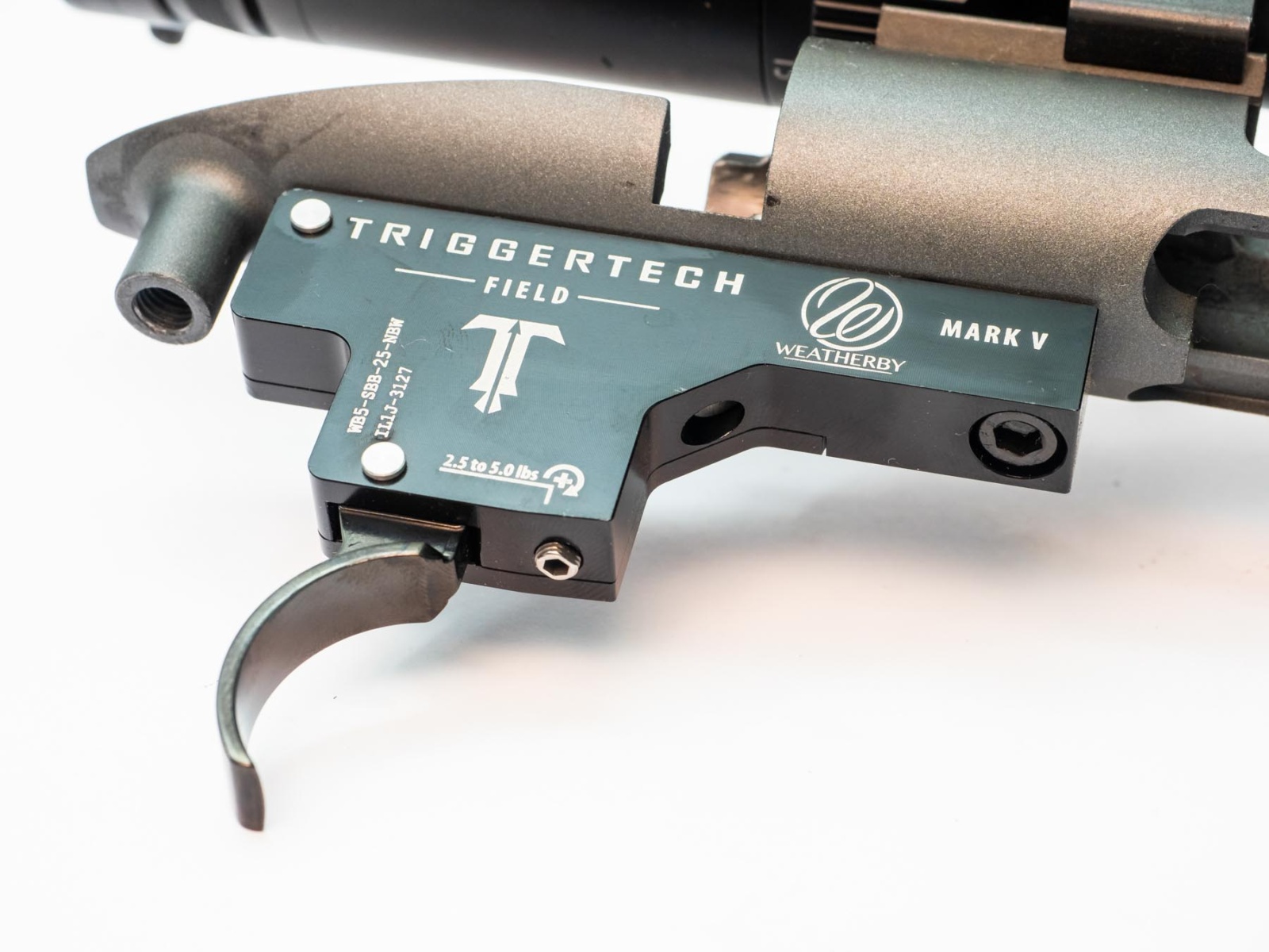 Weatherby Mk V Live Wild test