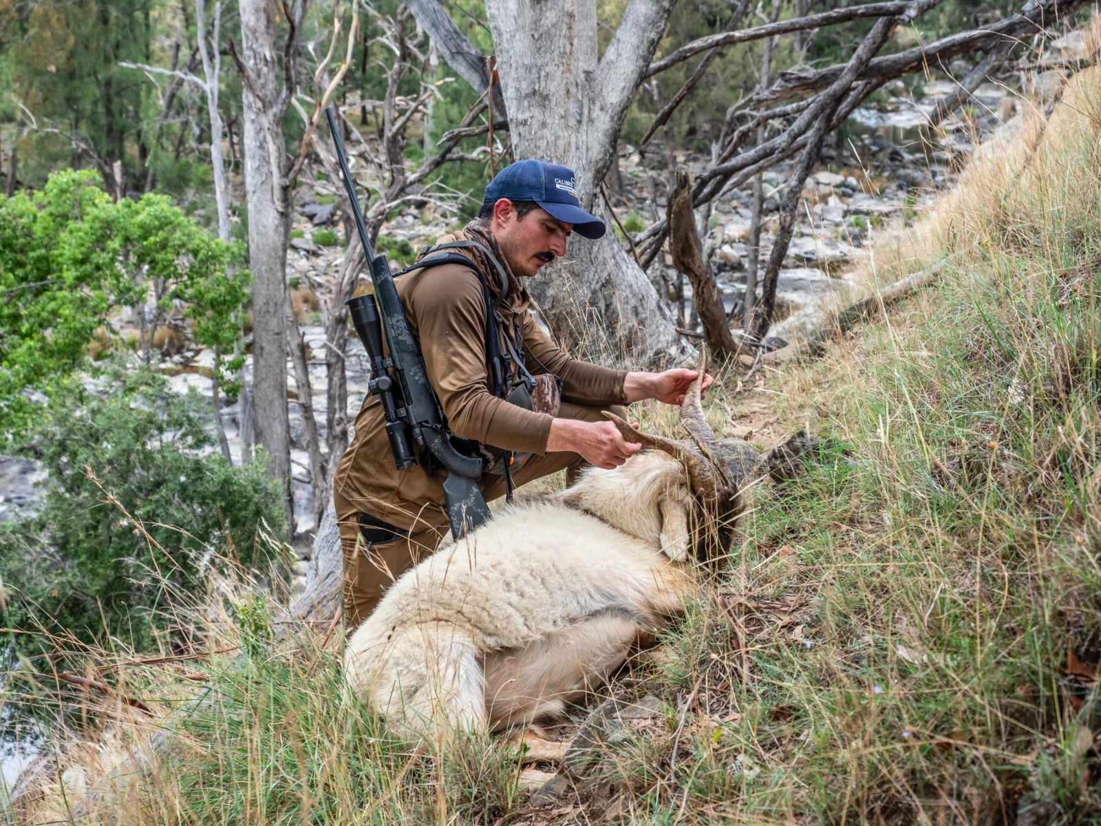 Weatherby Mk V Live Wild test