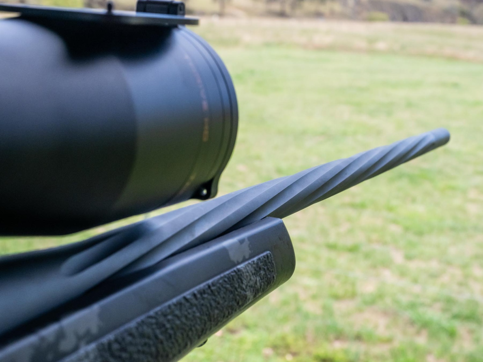 Weatherby Mk V Live Wild test