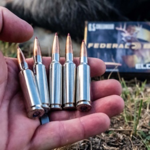 Federal Premium ELD-X ammunition test