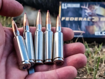 Federal Premium ELD-X ammunition test