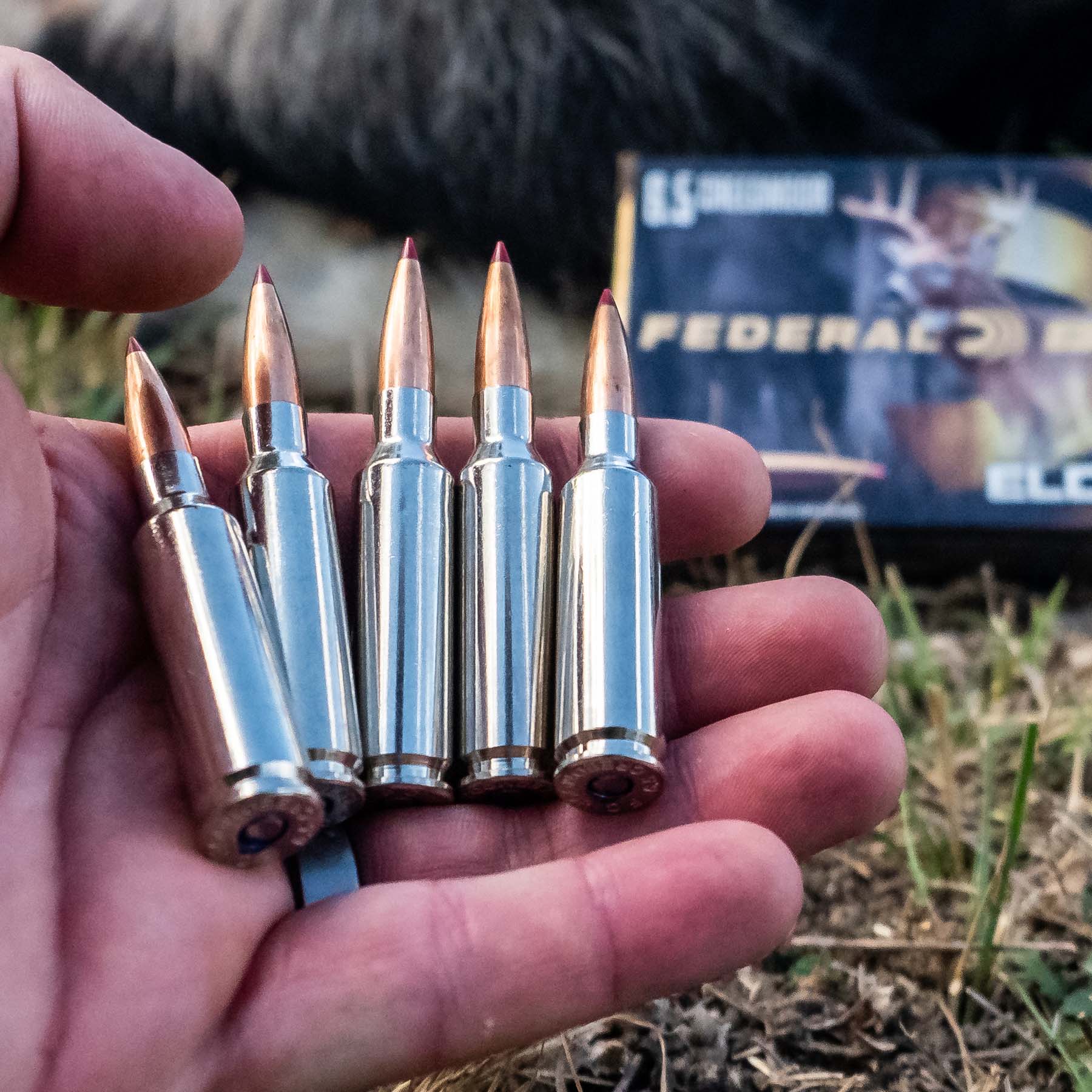 Federal Premium ELD-X ammunition test