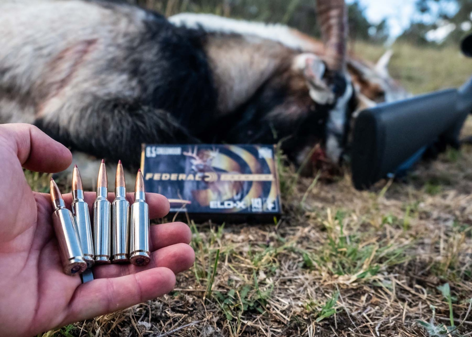 Federal Premium ELD-X ammunition test