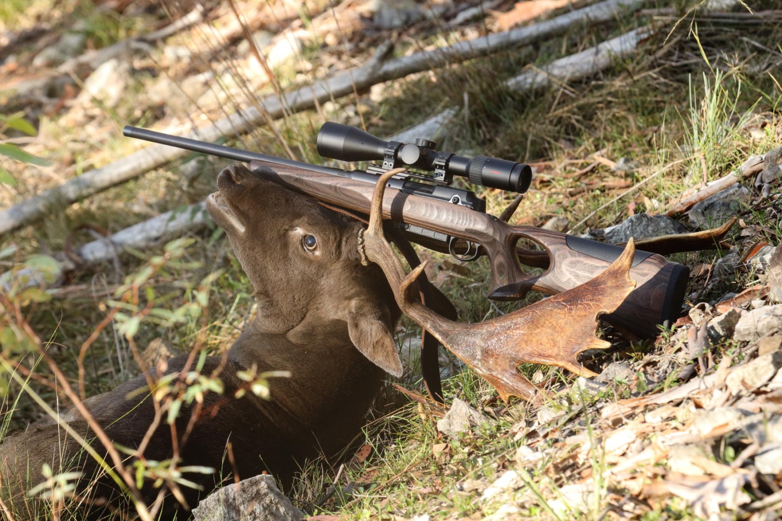 Minox RS-4 2.5-10x50 riflescope review